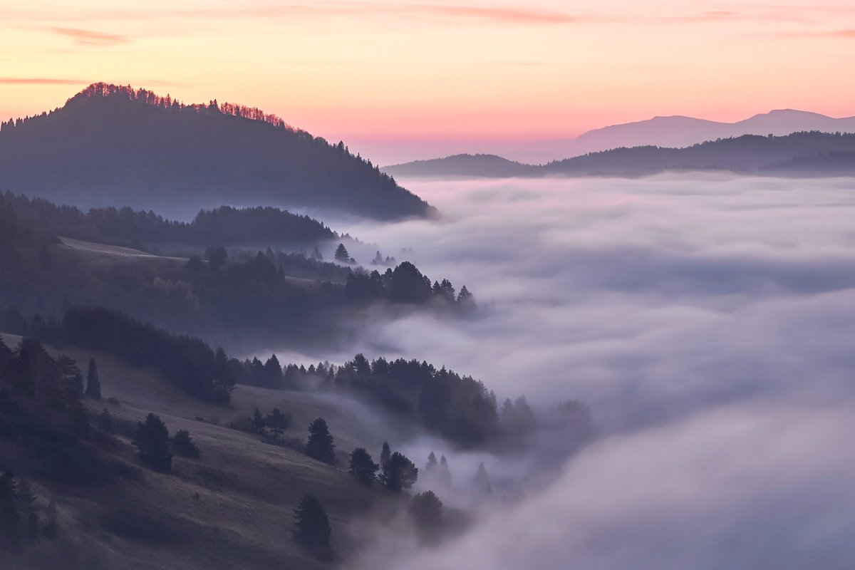 mist,mountains,fog,sunrise,tree,  Rafal