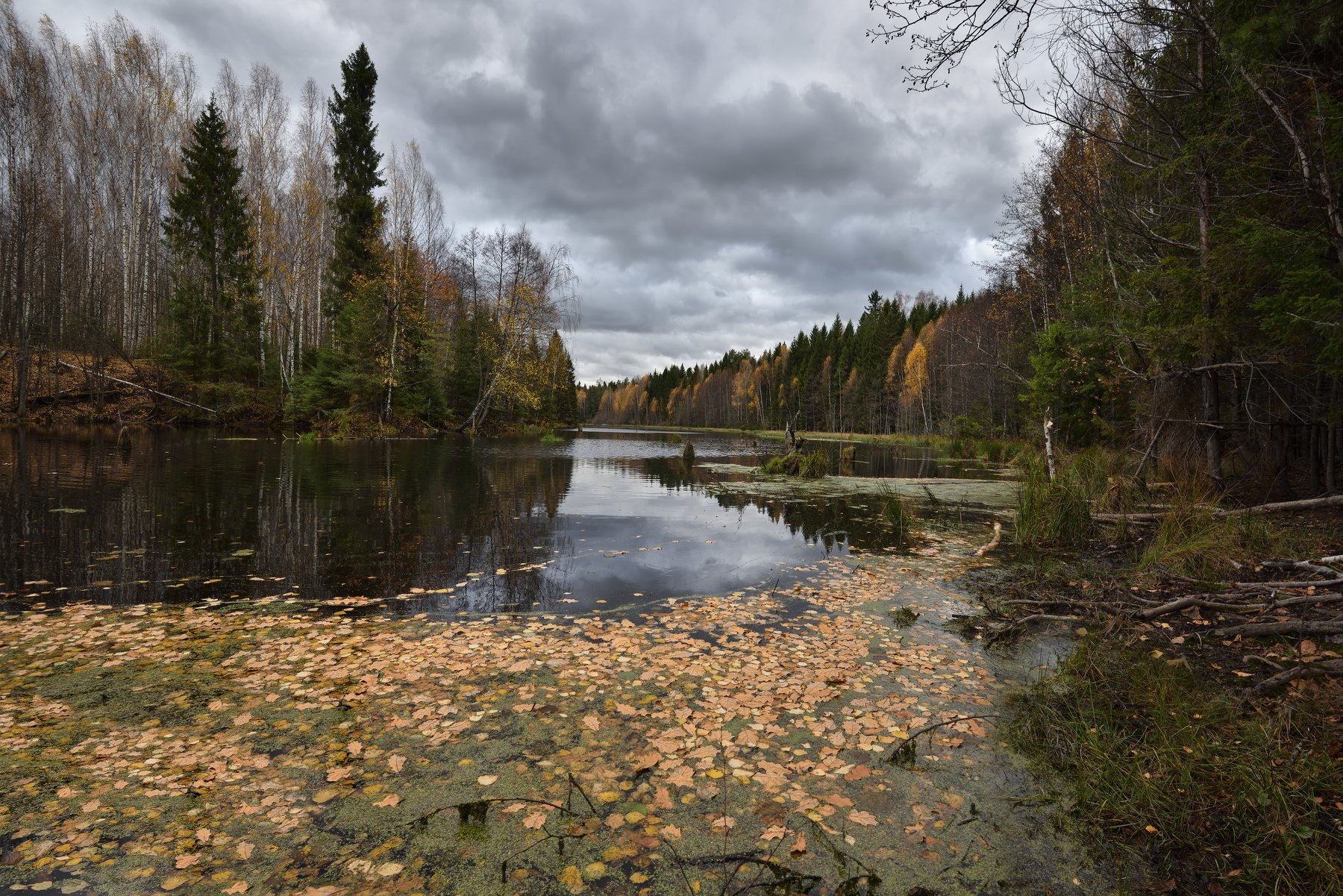 осень,река,небо,тучи,облака,листья,лес, Виталий Полуэктов