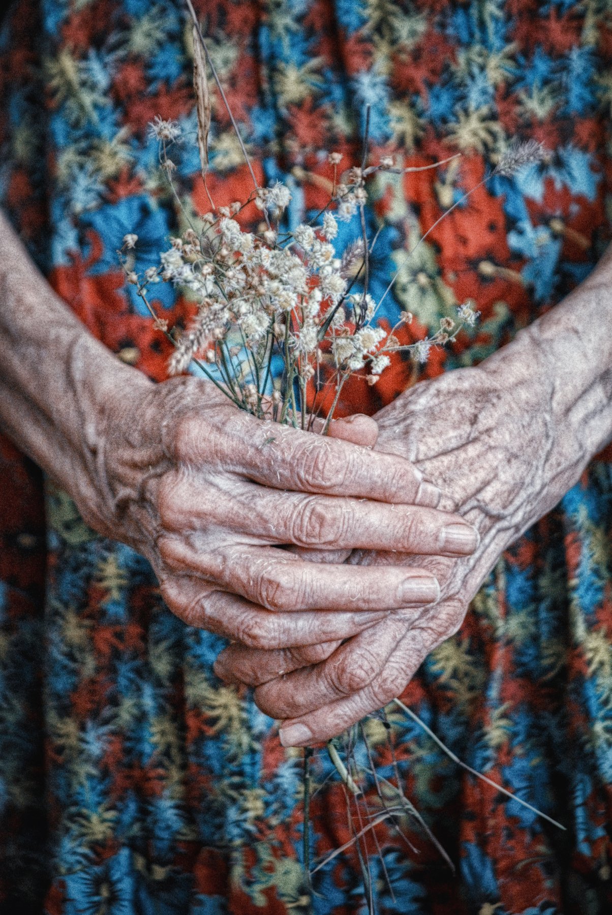 woman, old age, old woman, hands, flowers, женщина, старость, старуха, руки, цветы, Teodora Sarbinska