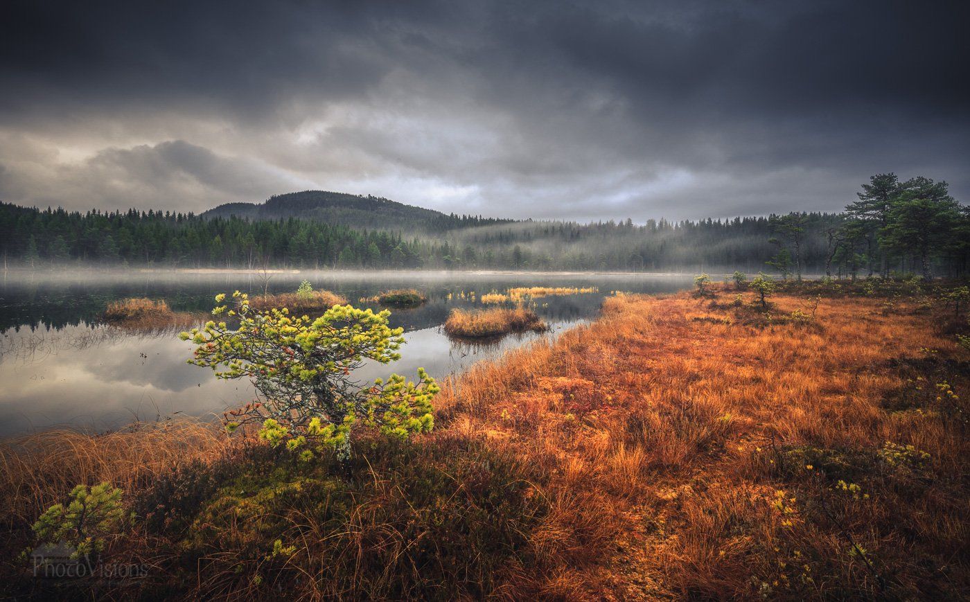 autumn,autumnal,norway,norwegian,nature,natural,landscape,boreal,scandinavia,, Adrian Szatewicz