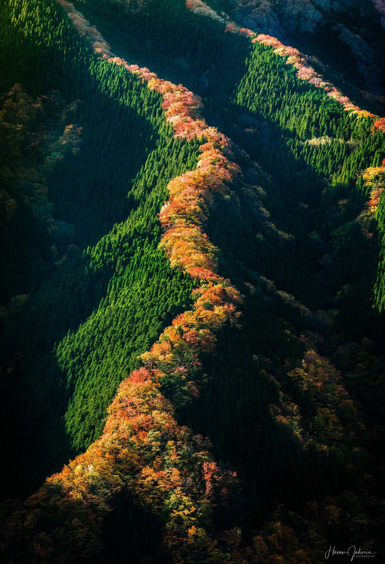 nature landscape japan mountain morning nara autumn colors, Hasan Jakaria
