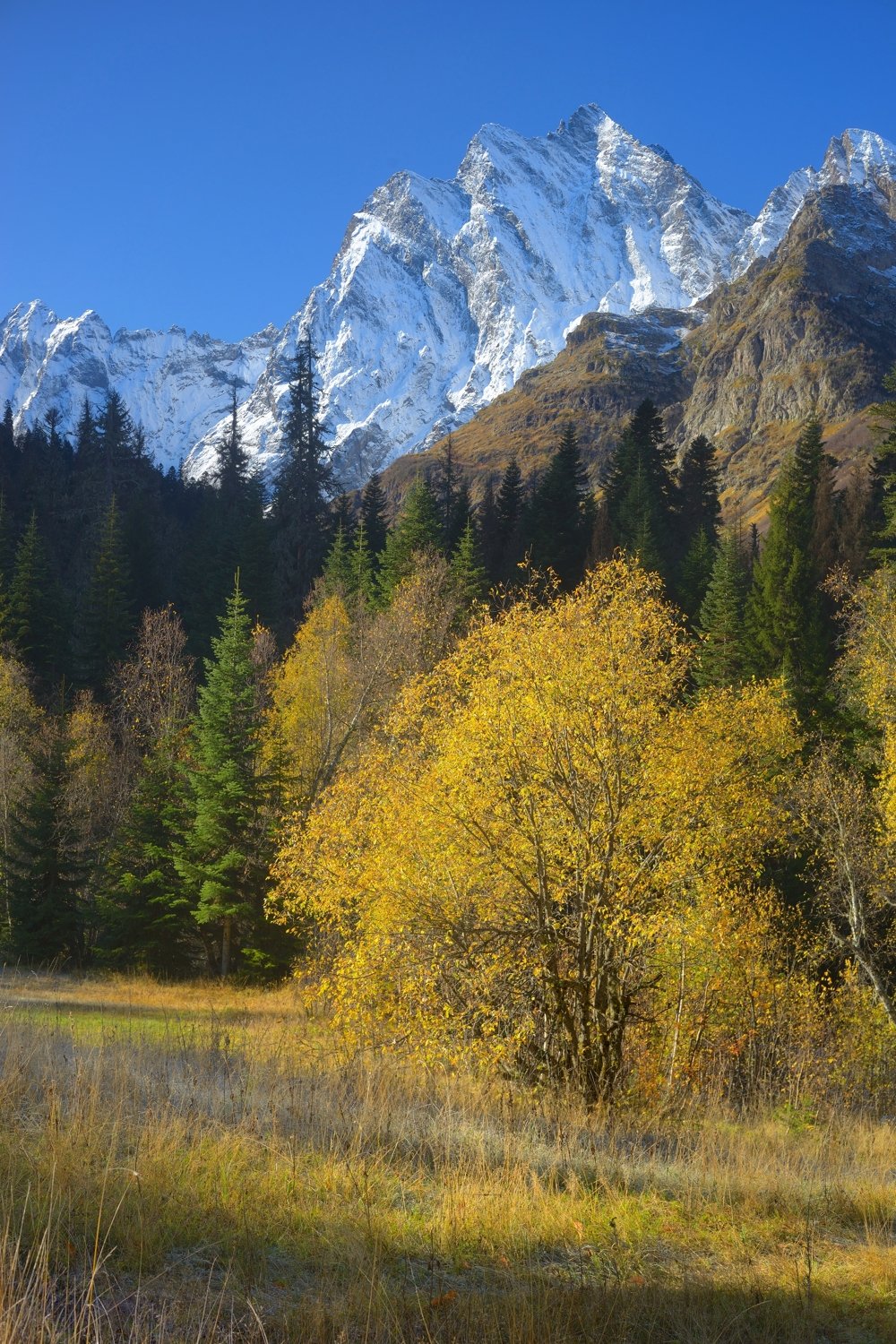 горы кавказ осень лес, Александр Жарников