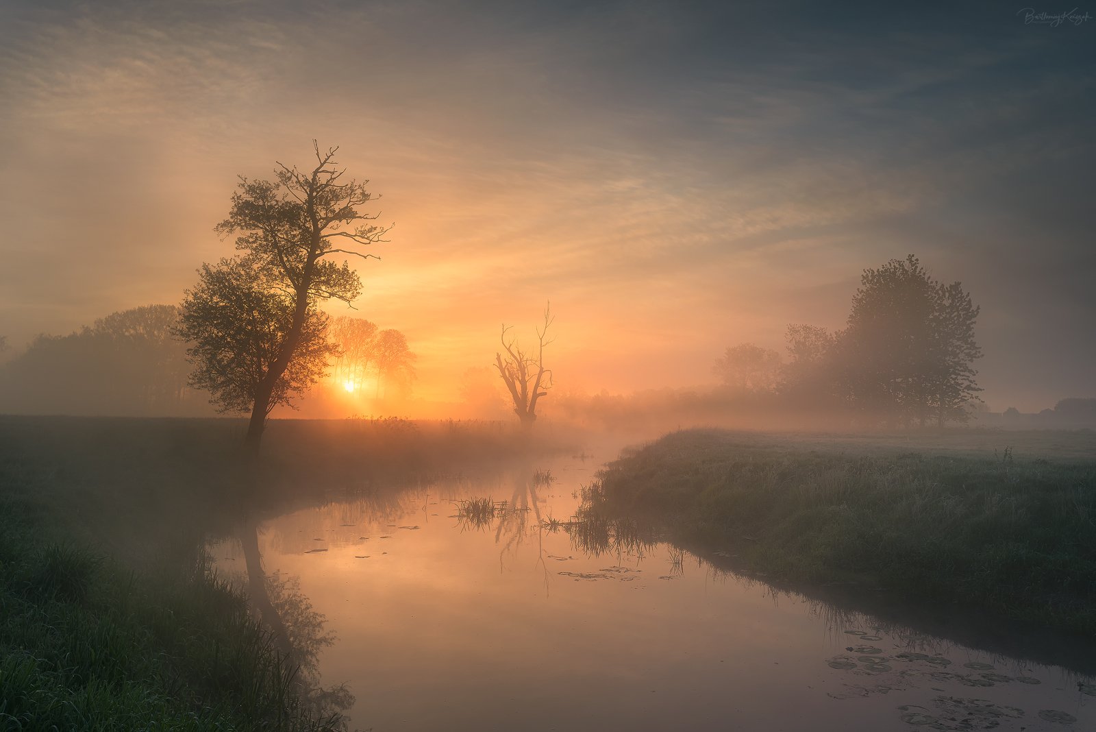 morning, fog, trees, river, nature, Bartłomiej Kończak
