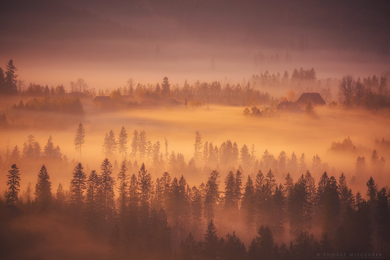 mountains, poland, polish, landscape, sunrise, sunset, colours, autumn, awesome, amazing, adventure, travel, beautiful, morning, fog, mist, mood, Tomasz Wieczorek