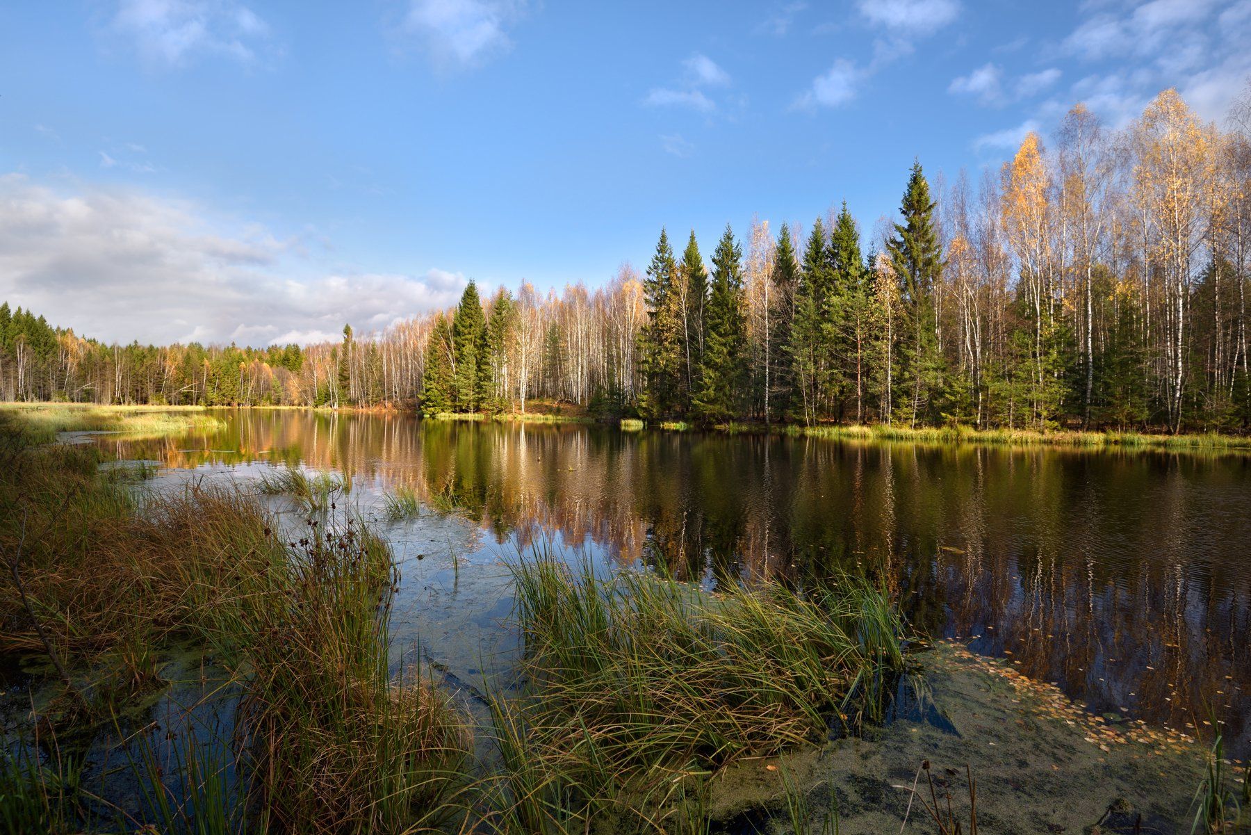осень,река,листья,небо,облака,лес,отражение, Виталий Полуэктов