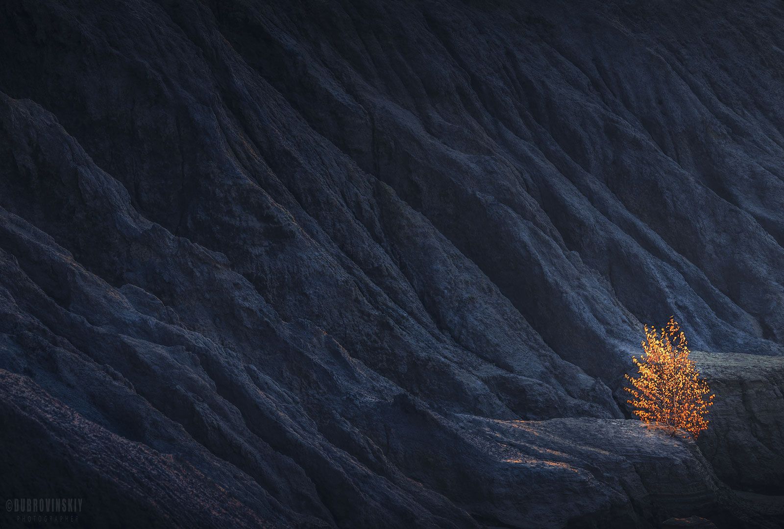 дерево, осень, карьер, тульская область, романцевские горы, Михаил Дубровинский