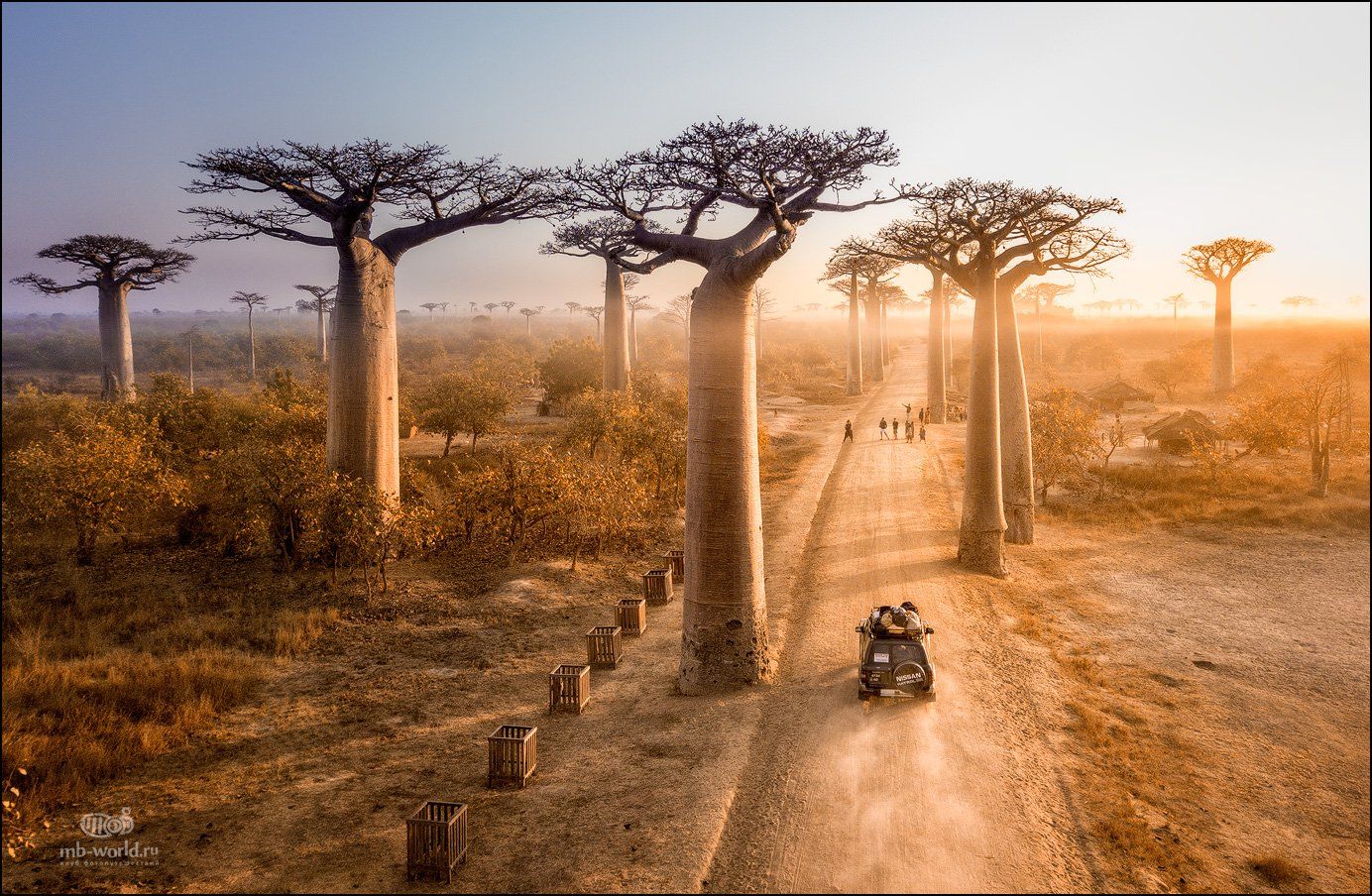 Мадагаскар, баобабы, аллея, пейзаж, фотопутешествие, Mikhail Vorobyev