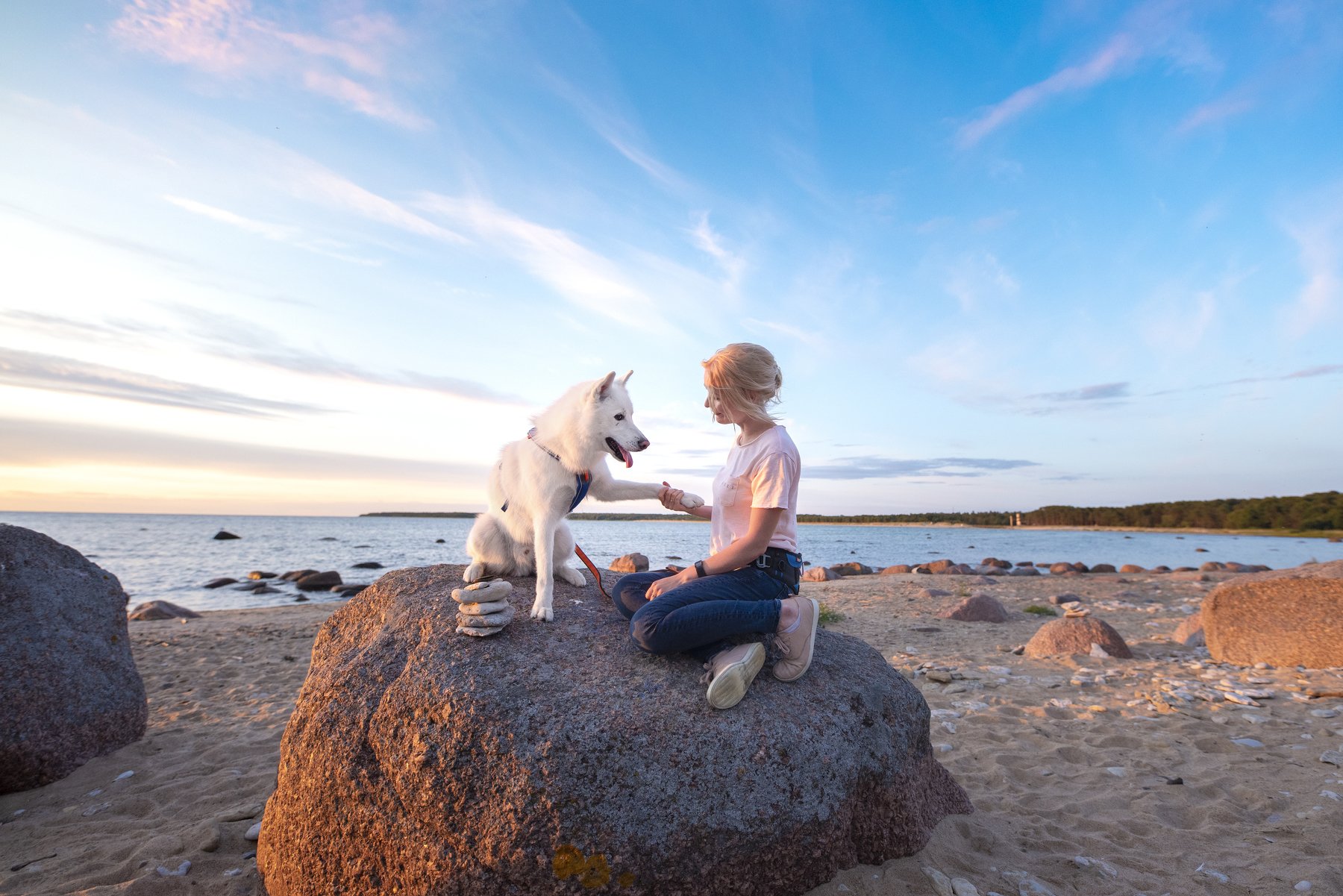 husky, sunset, friendship, dog, Karina Saarestik