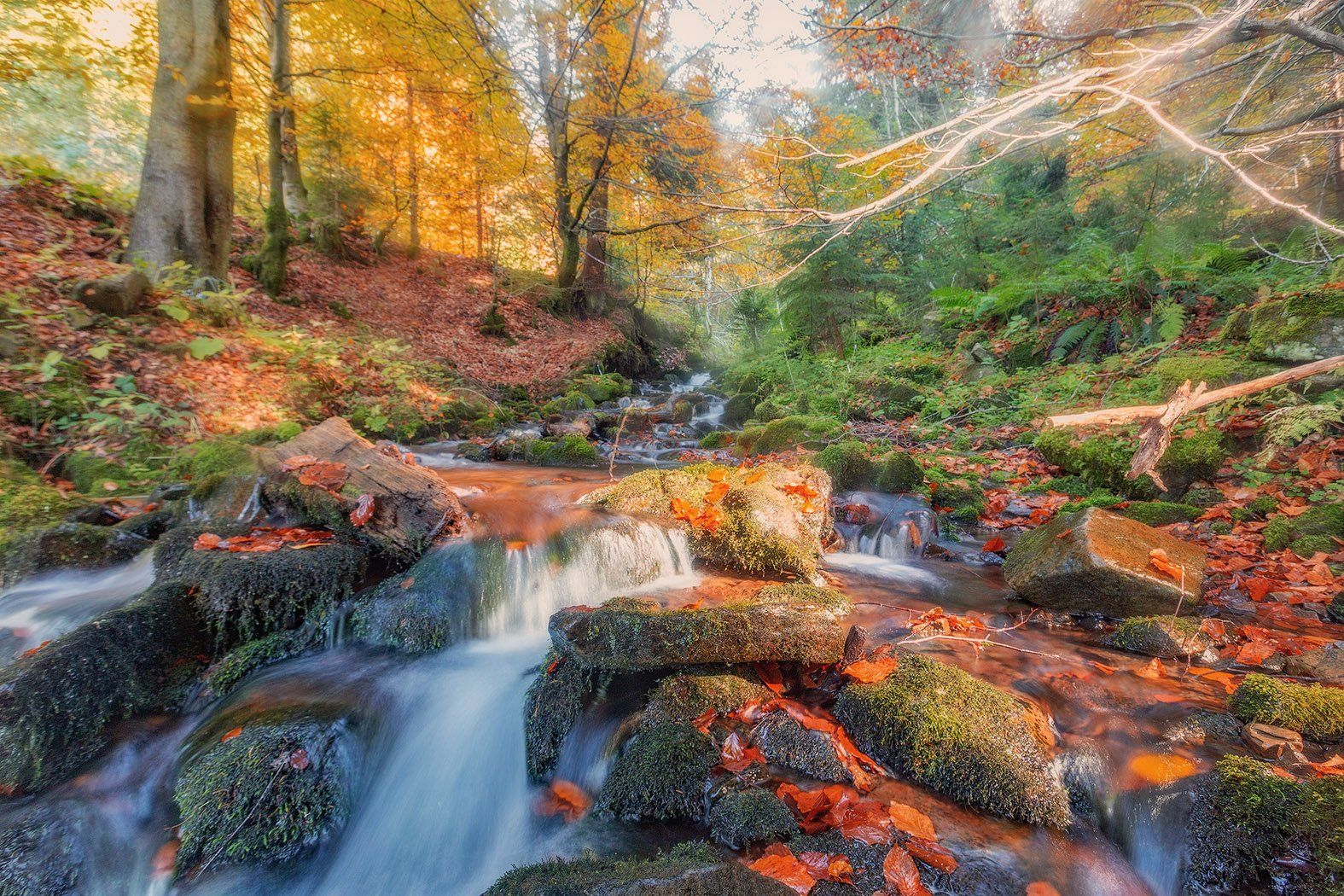 закарпатье, осень, вода, водопад, Владимир Липецких