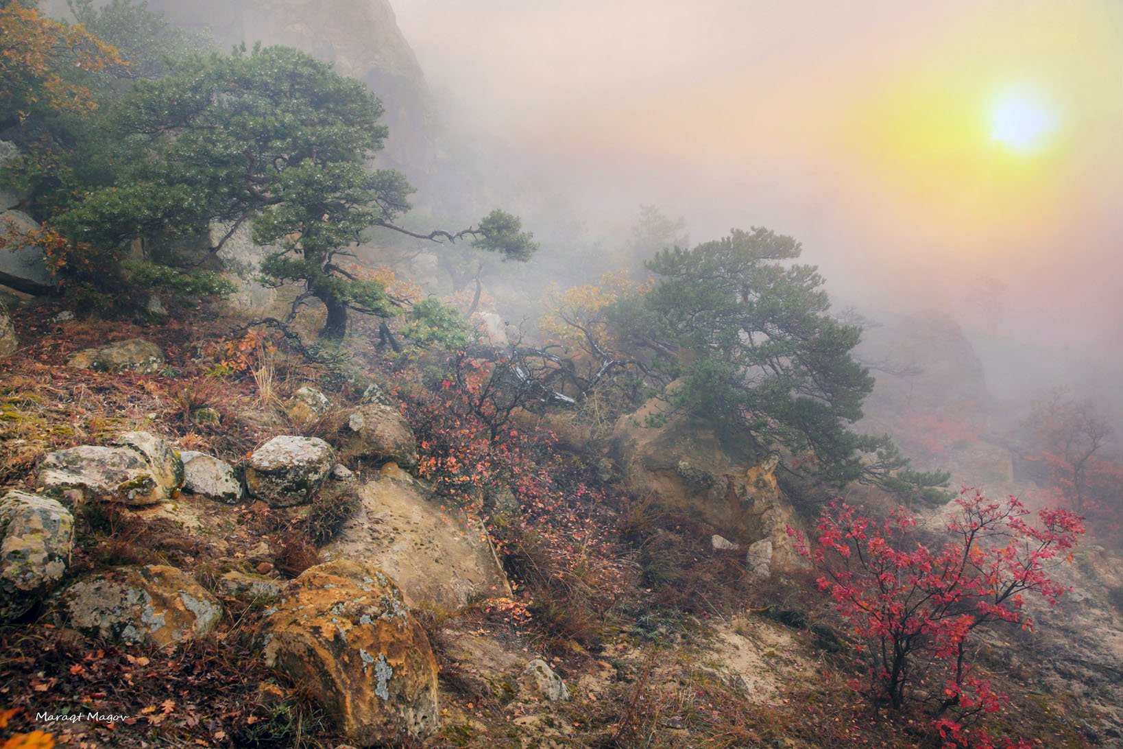 осень,пейзаж,горы,лес,природа,дагестан., Marat Magov