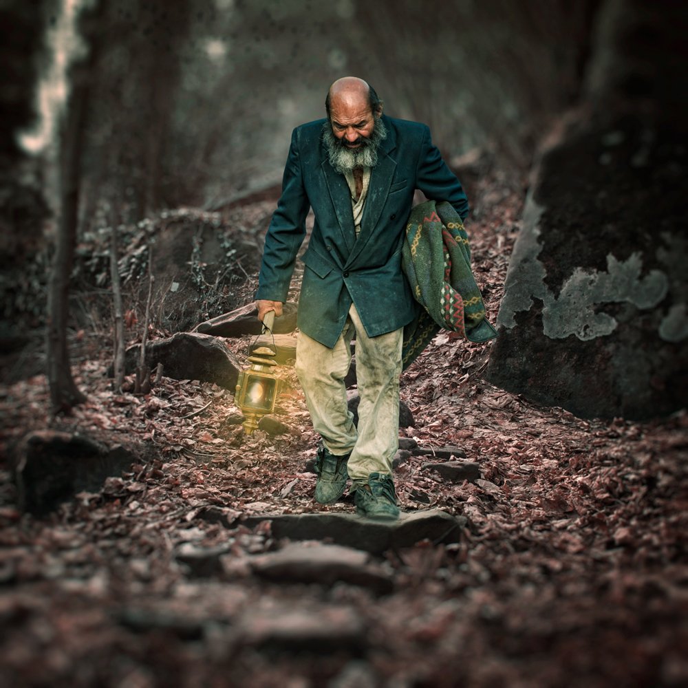 forest, light, old, tree, leaf, man, alone, traveling, pole, stone, stairs, walking, Caras Ionut