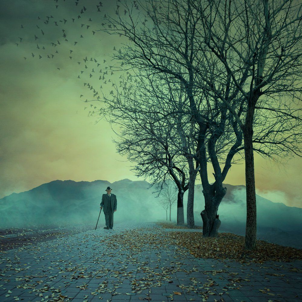 autumn, mist, fog, winter, clouds, tree, fall, leaf, man, walk, mounting, Caras Ionut