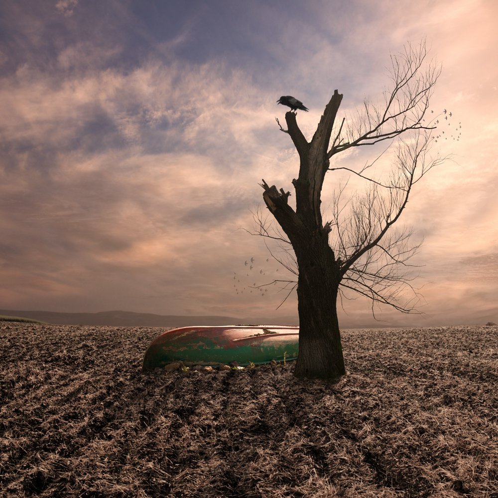 field, boat, reflection, bird, light, clouds, tree, alone, wood, crow, ground, hill, dry, Caras Ionut