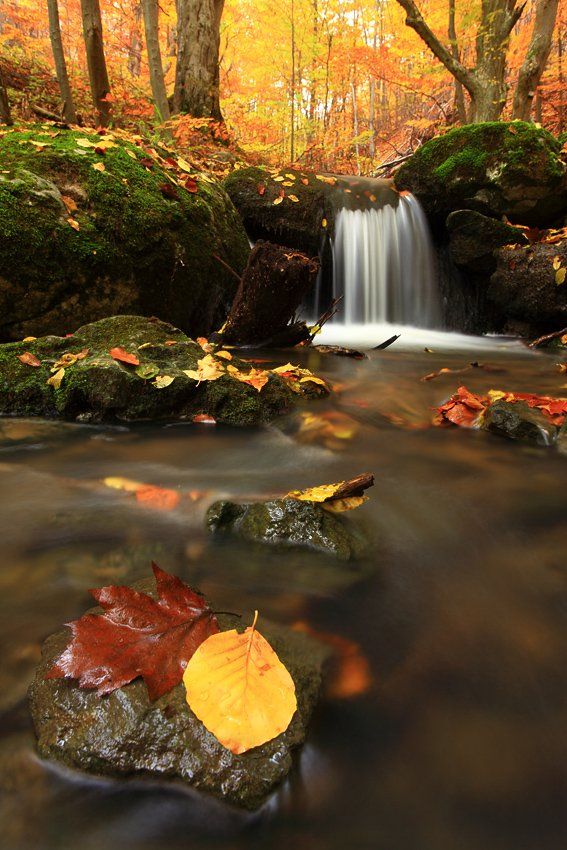 болгария, осень, водопад, Павел Пронин