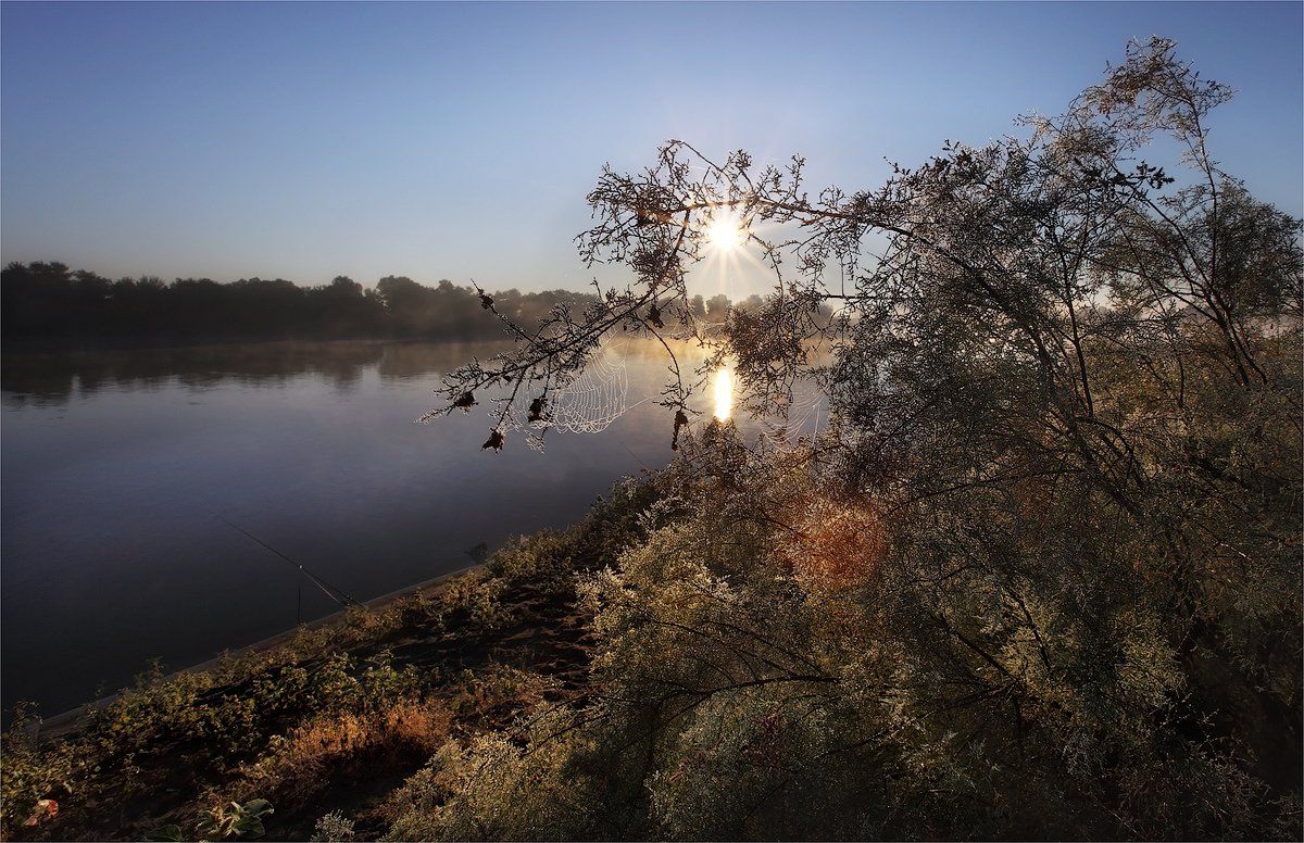 утро, река, паутина, роса, Сергей