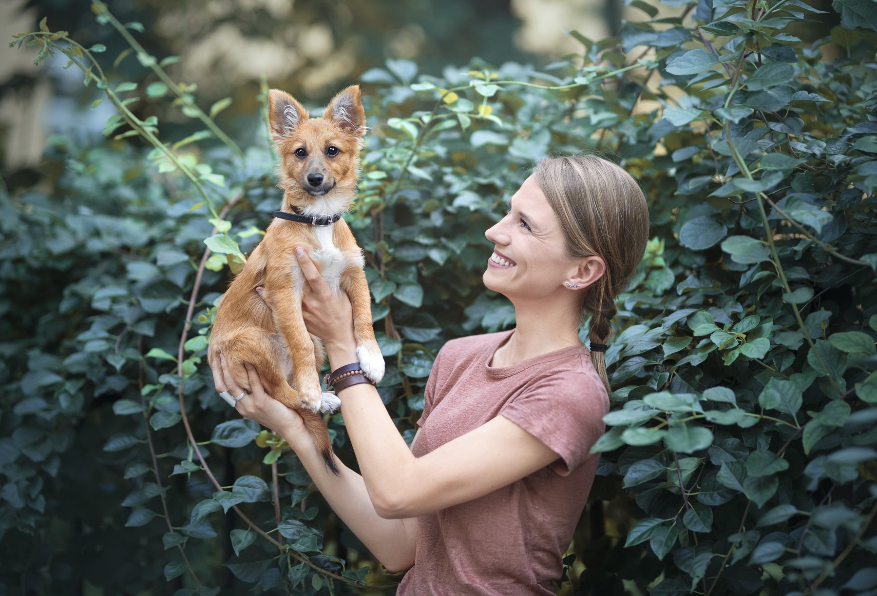 mix-breed, dog, friendship, Karina Saarestik