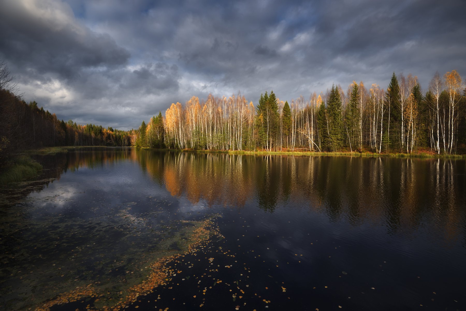 осень,река,лес,небо,облака,листья,отражение, Виталий Полуэктов