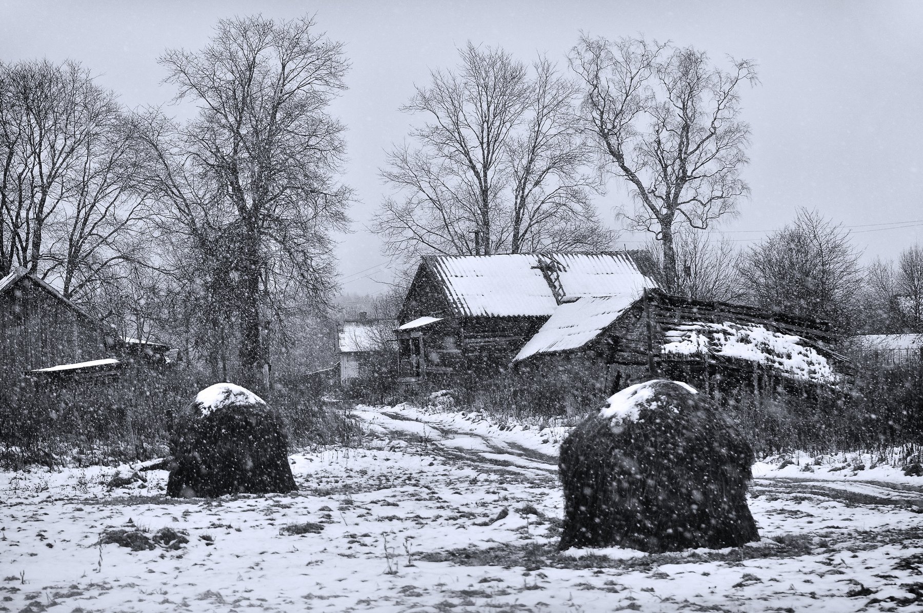 снег, село, сено, Андрей Куликов