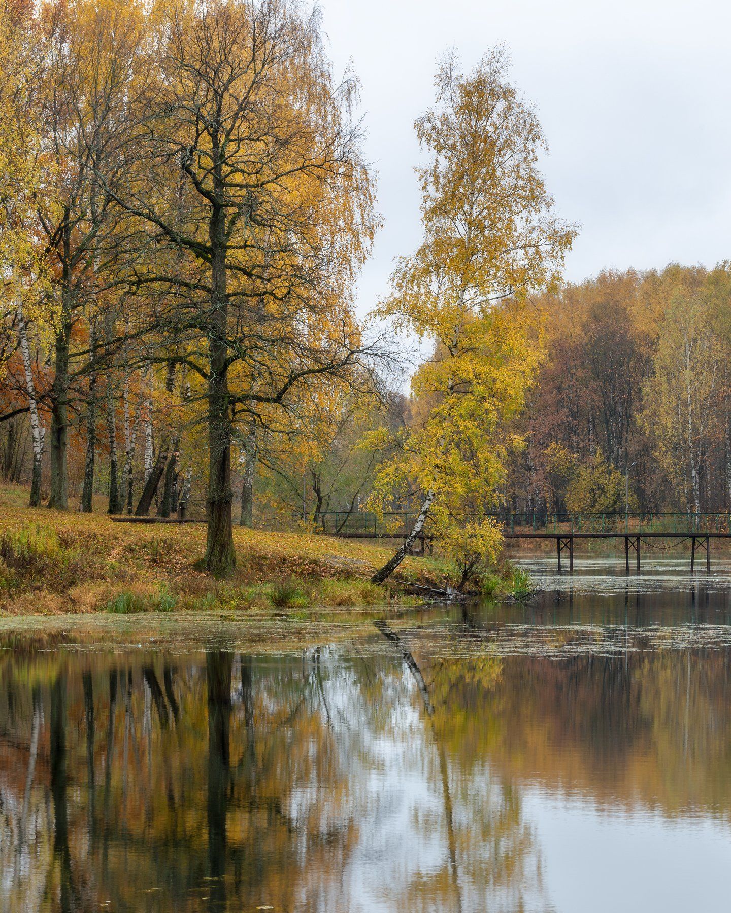 природа, пейзаж. осень, отражение, золото, настроение, золотая осень, Мартыненко Дмитрий