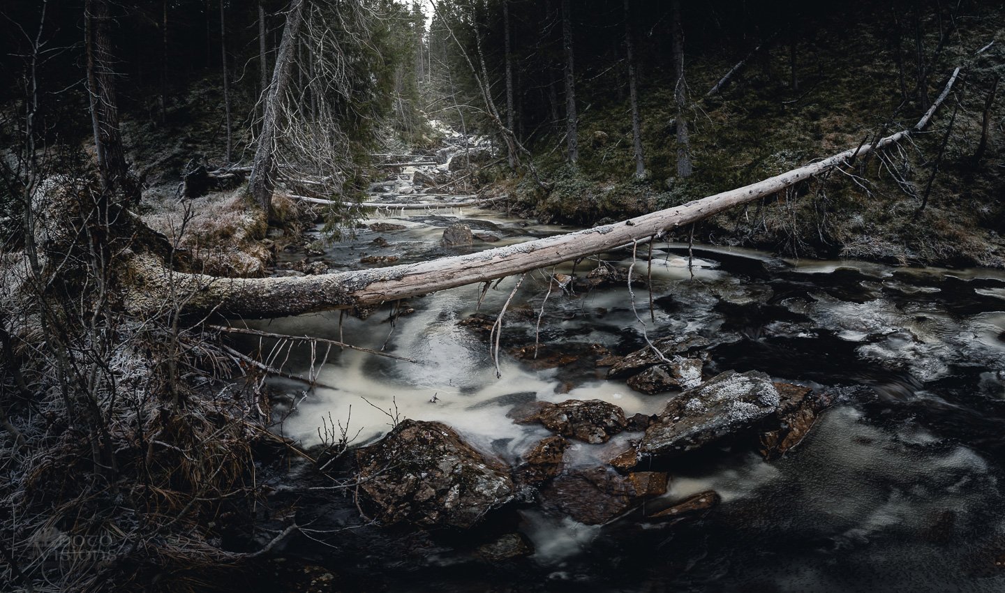 forest,river,winter,frost,frozen,freezing,boreal,norway,norwegian,scandinavia,scandinavian,, Adrian Szatewicz