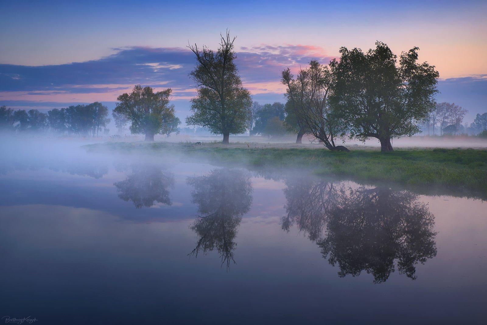 ner, morning, dawn, spring, fog, willow, trees, river, nature, Bartłomiej Kończak