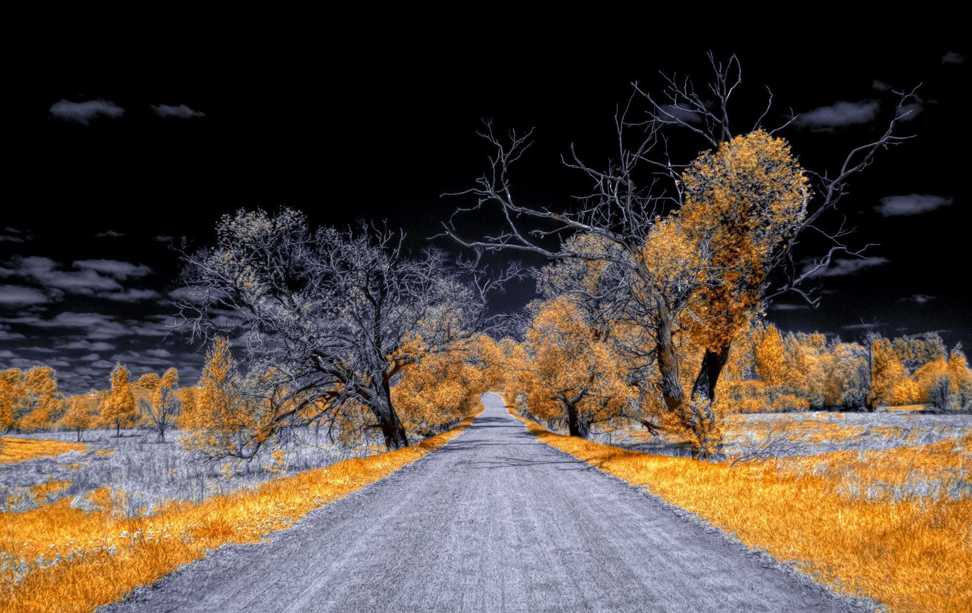 infrared,ик-фото,инфракрасное фото, инфракрасная фотография, пейзаж, весна, Sixten ( Сергей )