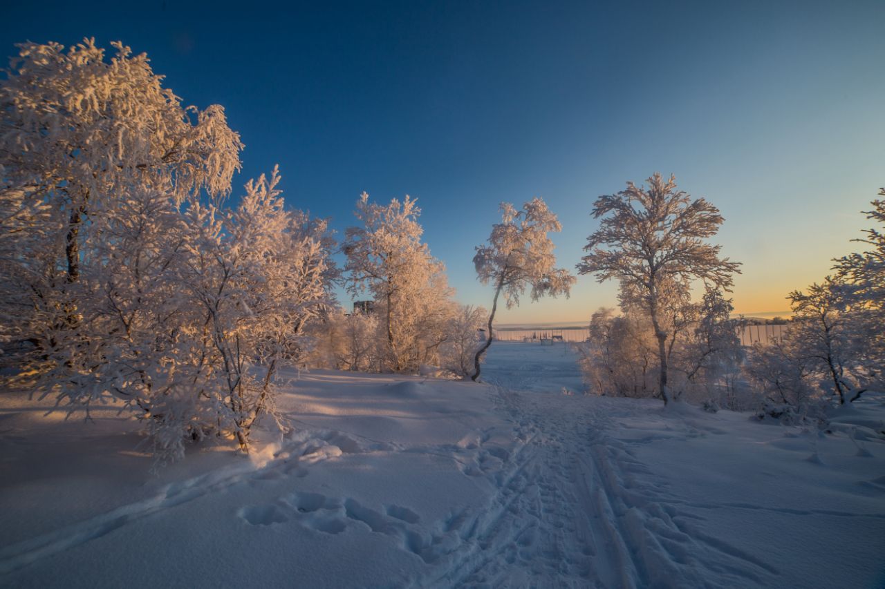 пейзаж, закат, солнце, зима, деревья, солнце, сугробы, снег, Алёна Салтыкова