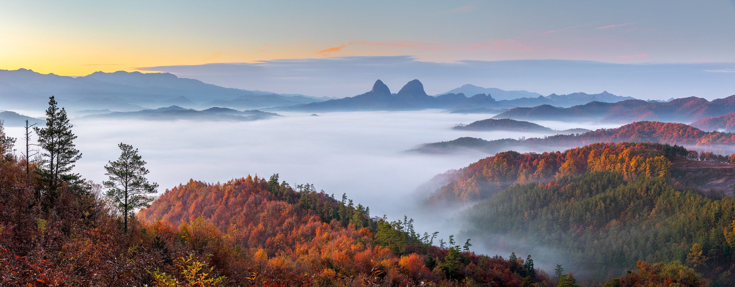 mountains,peak,hiking,fog,clouds,pine,layers,autumn, Jaeyoun Ryu