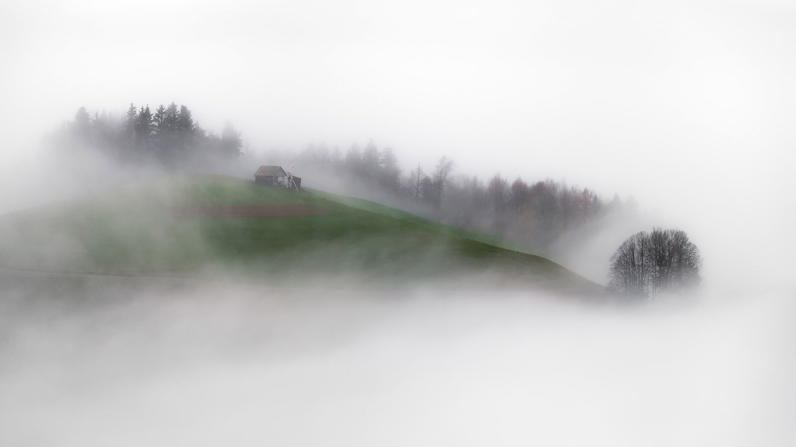 туман, холм, домик, деревья, словения, slovenia, foggy, misty, house, green, trees, Алексей Вымятнин