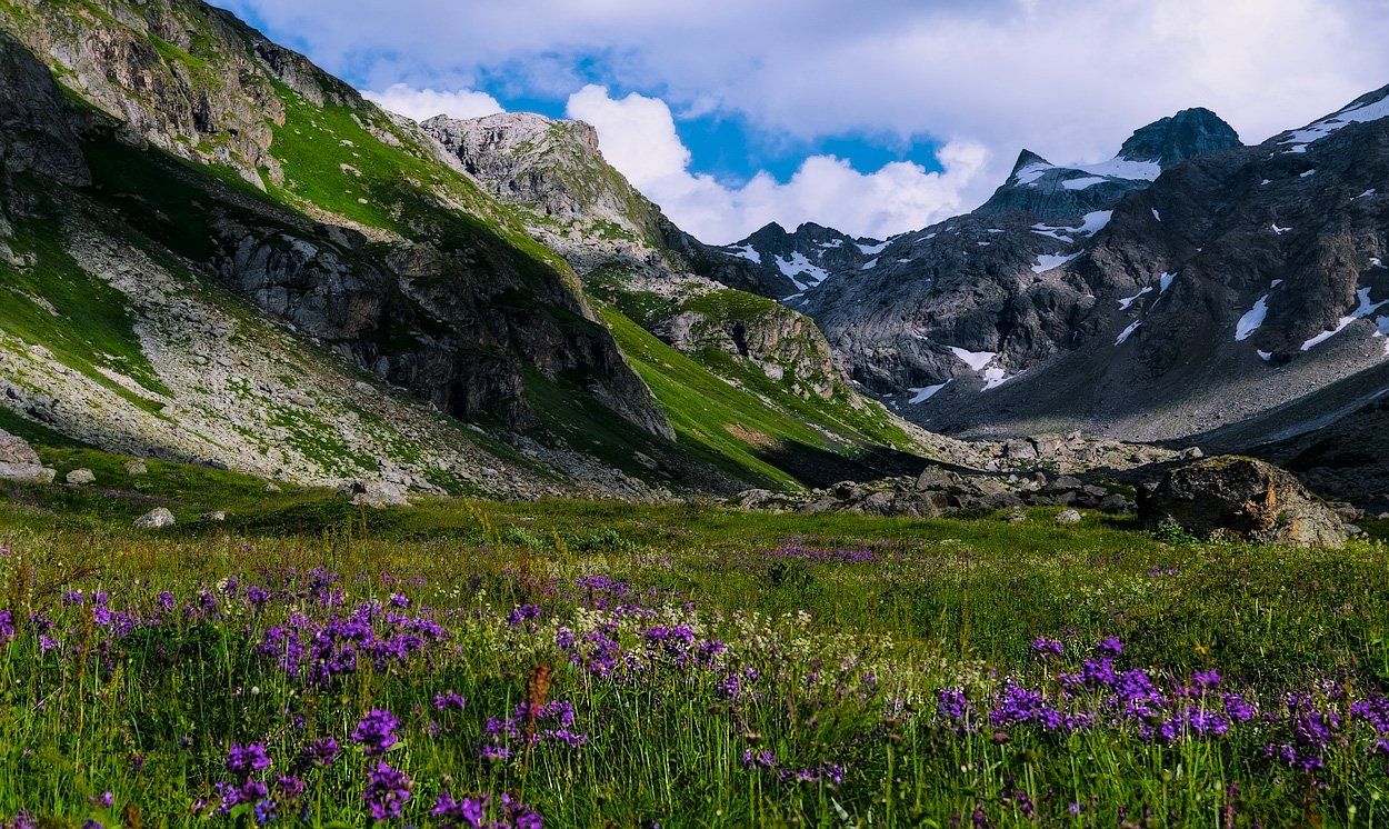 горы, цветы, природа, Олег