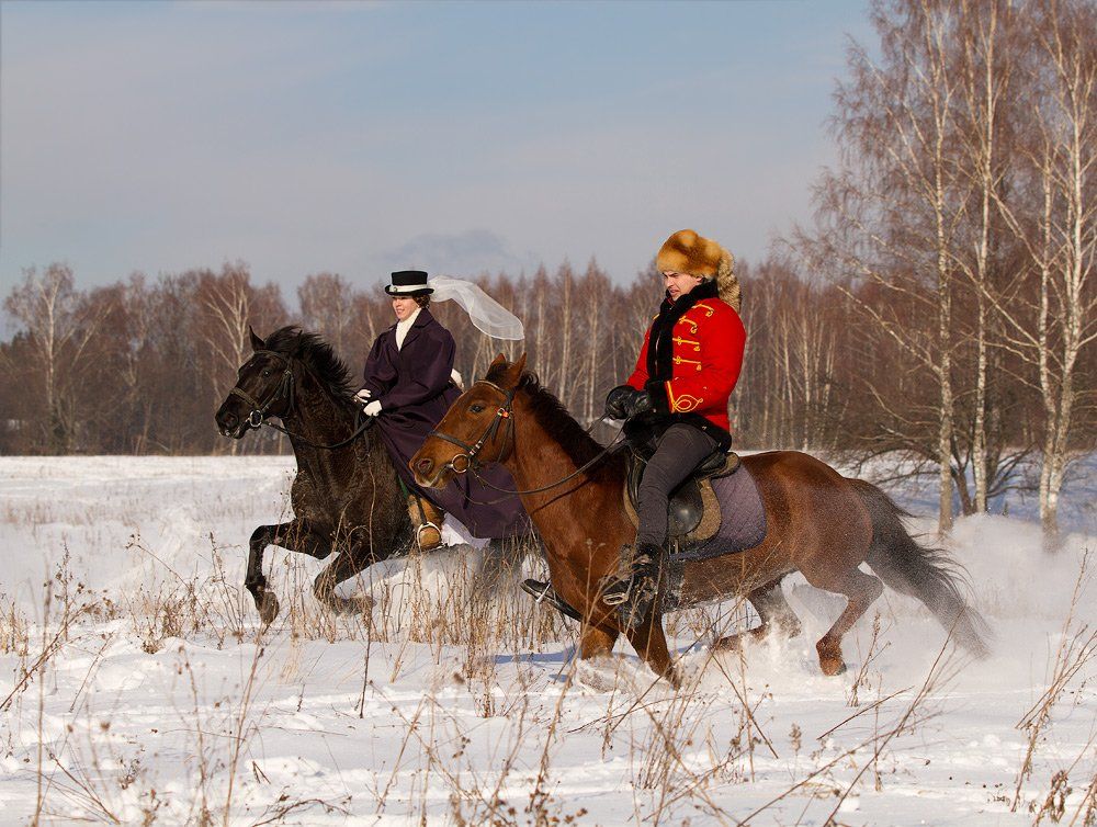 winter, зима, кони, лошади , всадник, Nelly B.