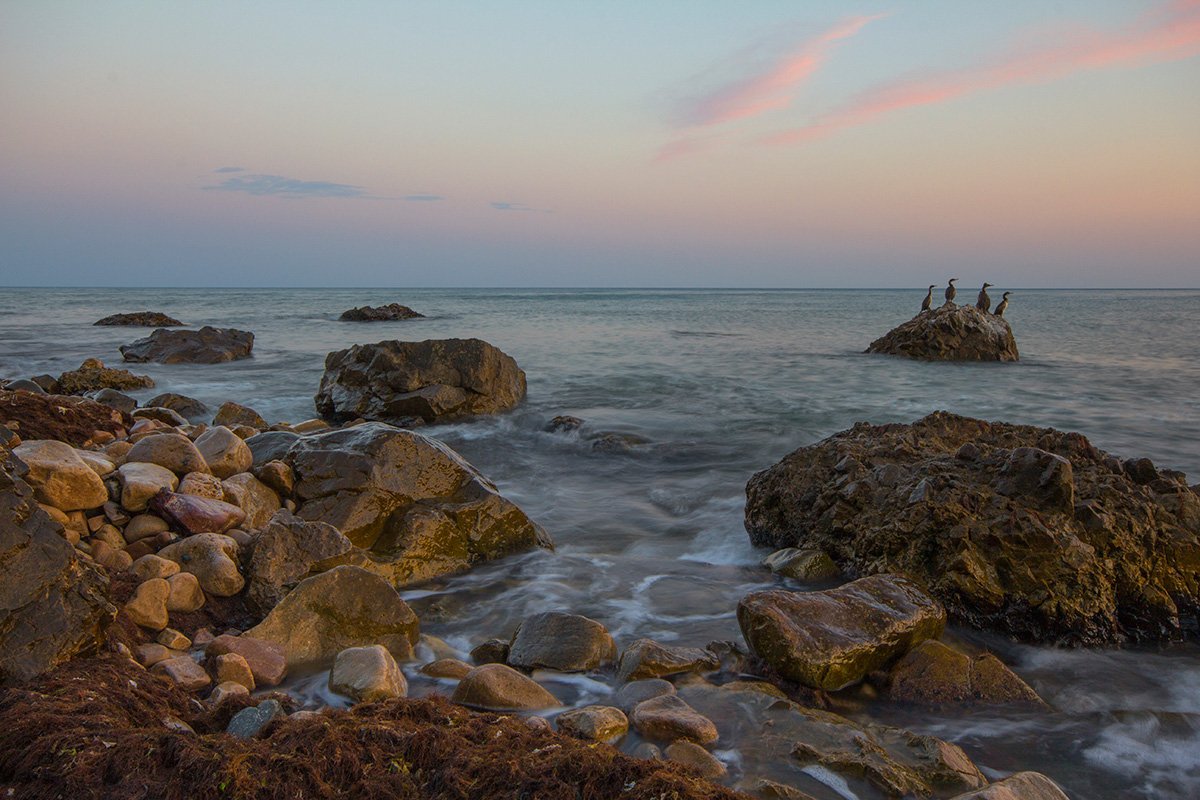 крым, морское, Артём Маковский