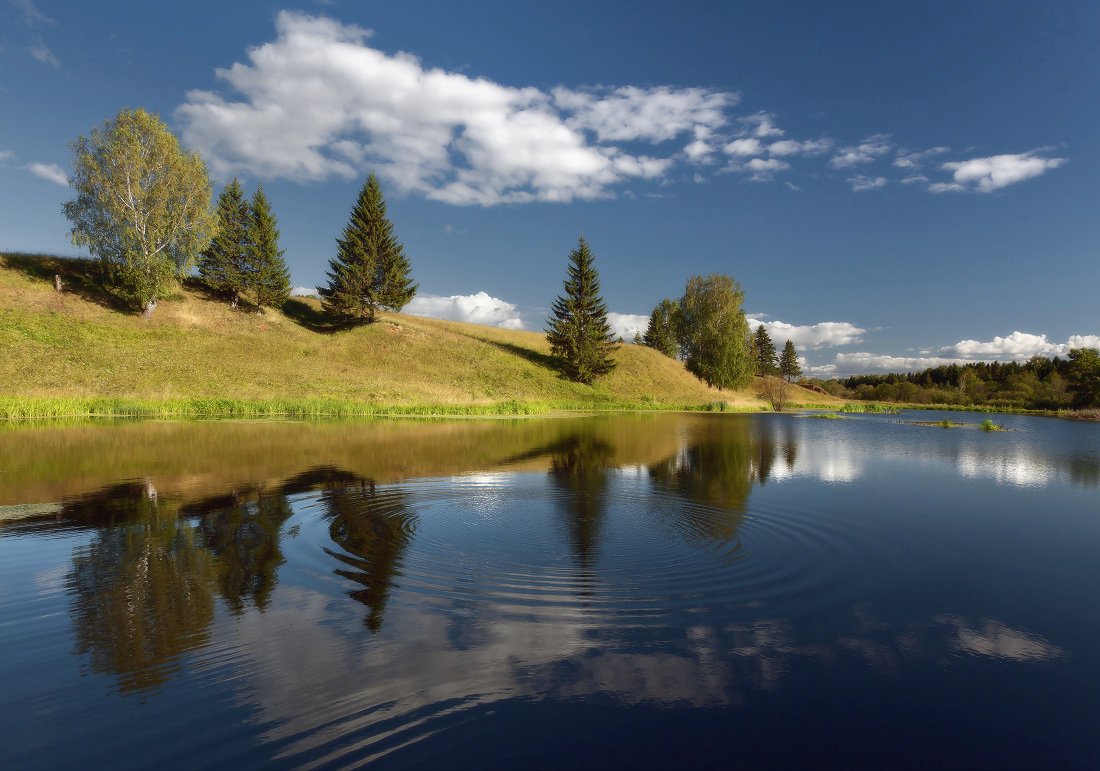 озеро, вода, отражения, круги, деревья, трава, лес, облака, Георгий Машковцев