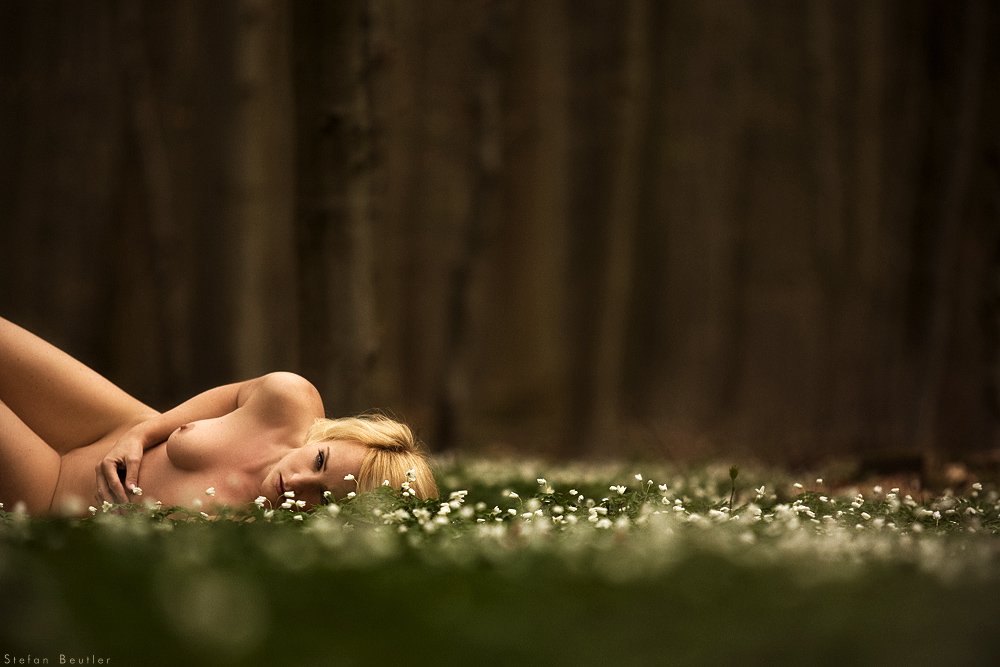 nude, erotic, woman, flower, tree, forest, bokeh, dof, Стефан Beutler