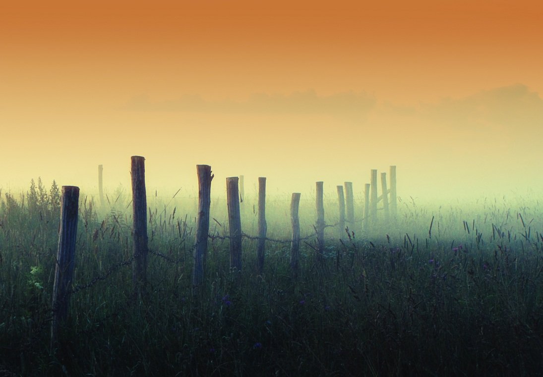 туман, забор, поле, вечер, литва, Vitalijus Serioginas