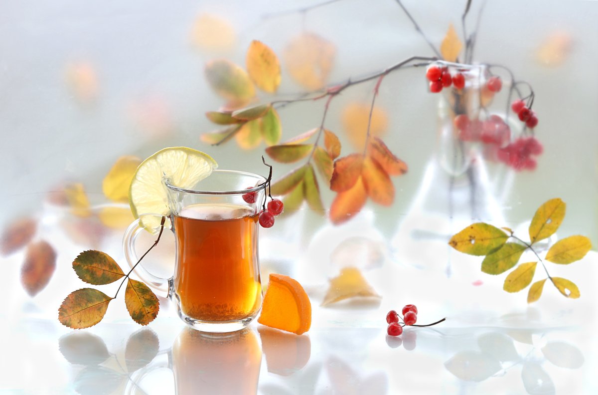 натюрморт, осень, листья. чай, Шруб (Беляева) Татьяна