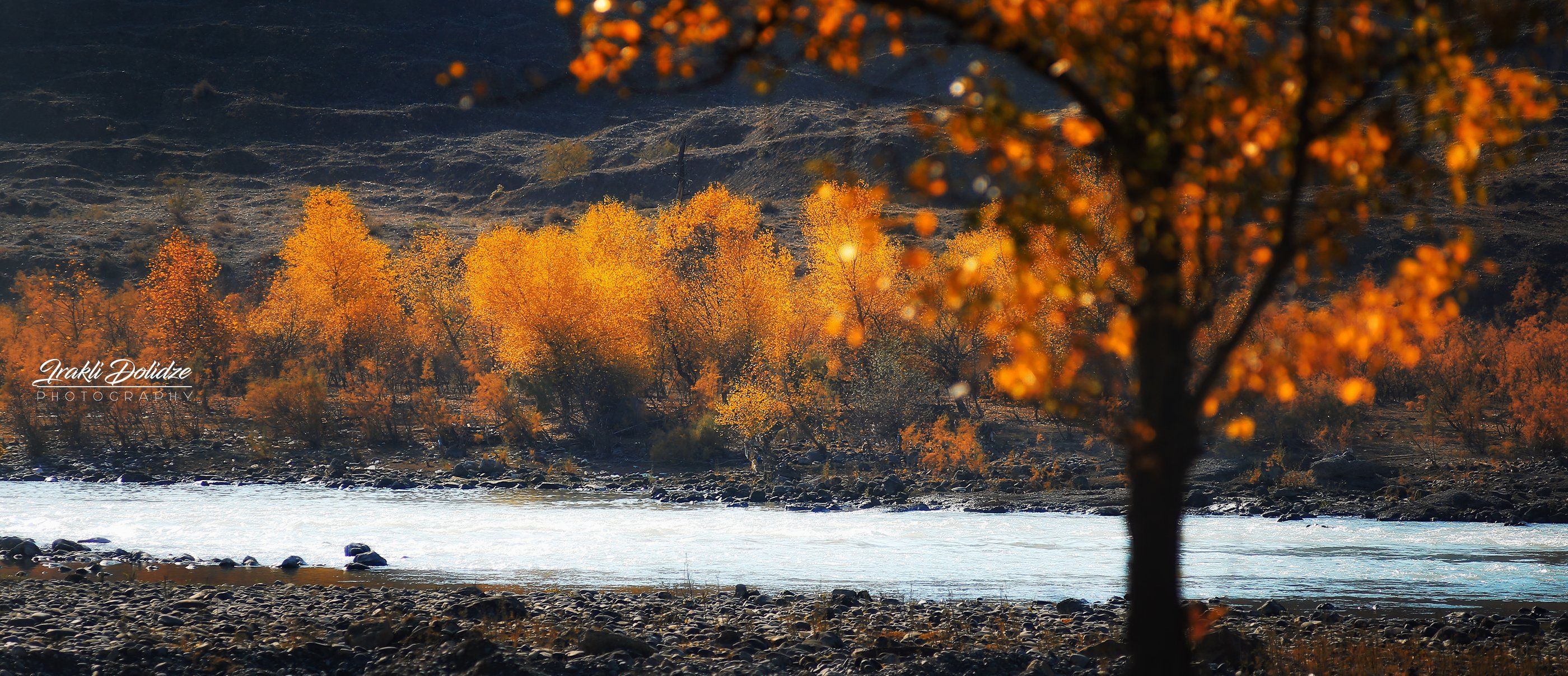 autumn, colors, leaves, bokeh, landscape, river, кавказ, природа, путешествия, пейзаж, ირაკლი დოლიძე