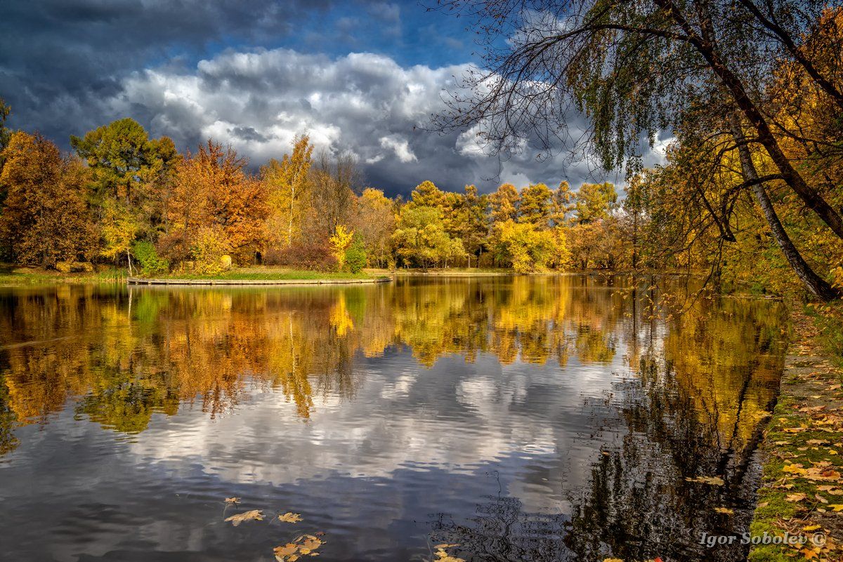 озеро, пейзаж, осень, сокольники, lake, landscape, autumn, sokolniki, Игорь Соболев