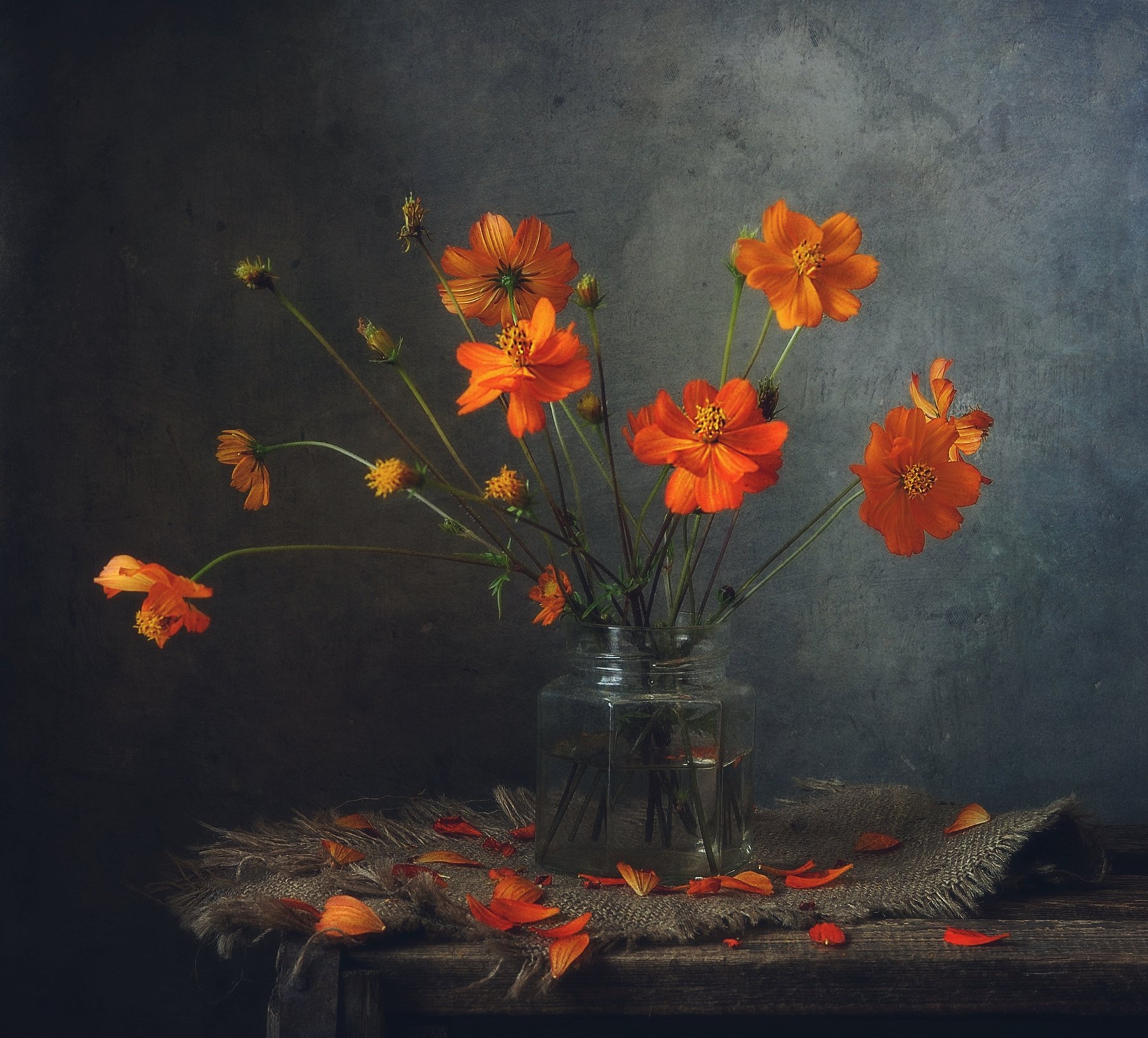 натюрморт,still life,цветы,космея, Наталия К