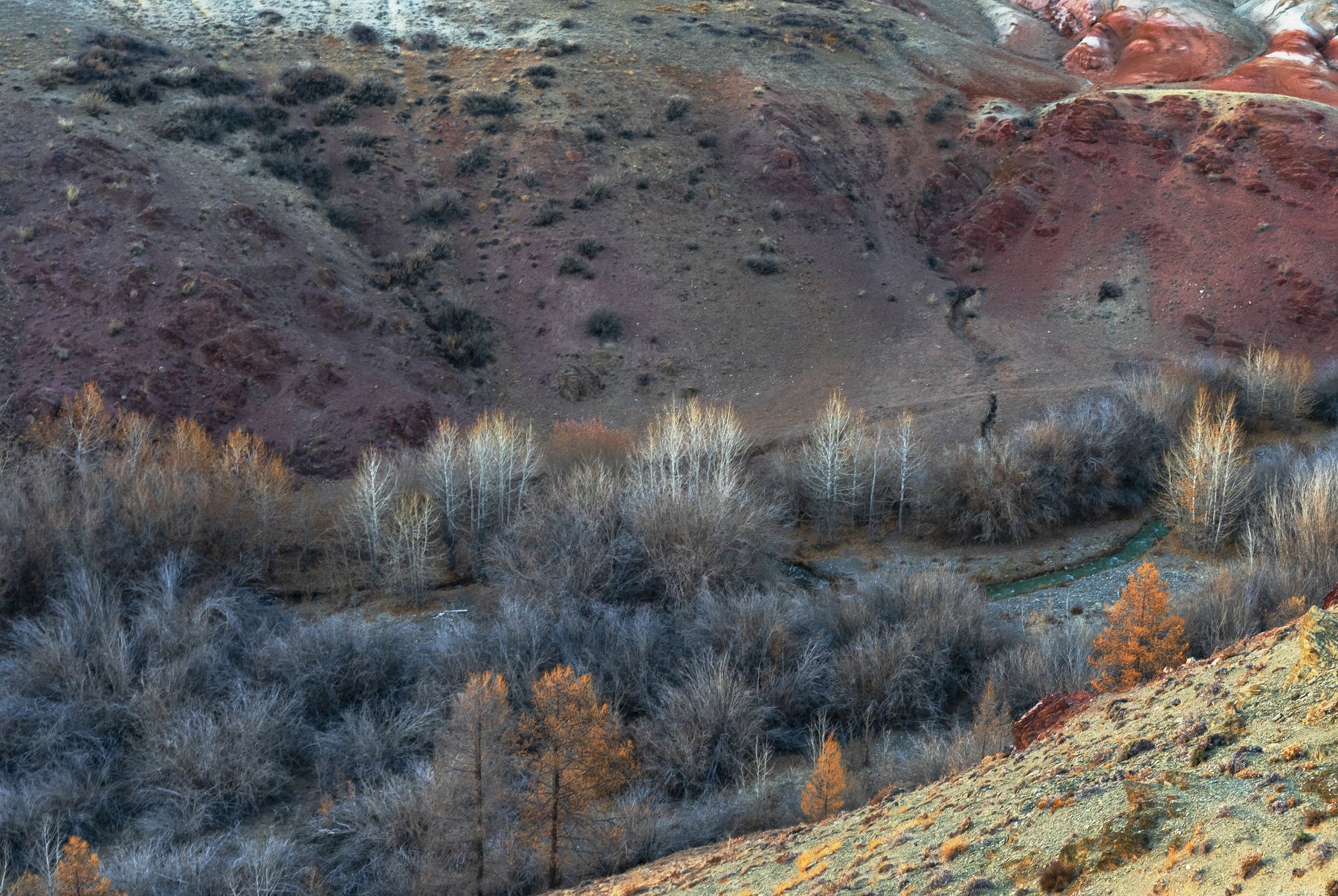 алтай,горный алтай, осень, кош-агач,вечер, закат, кызыл-чин, Евгений Шестаев