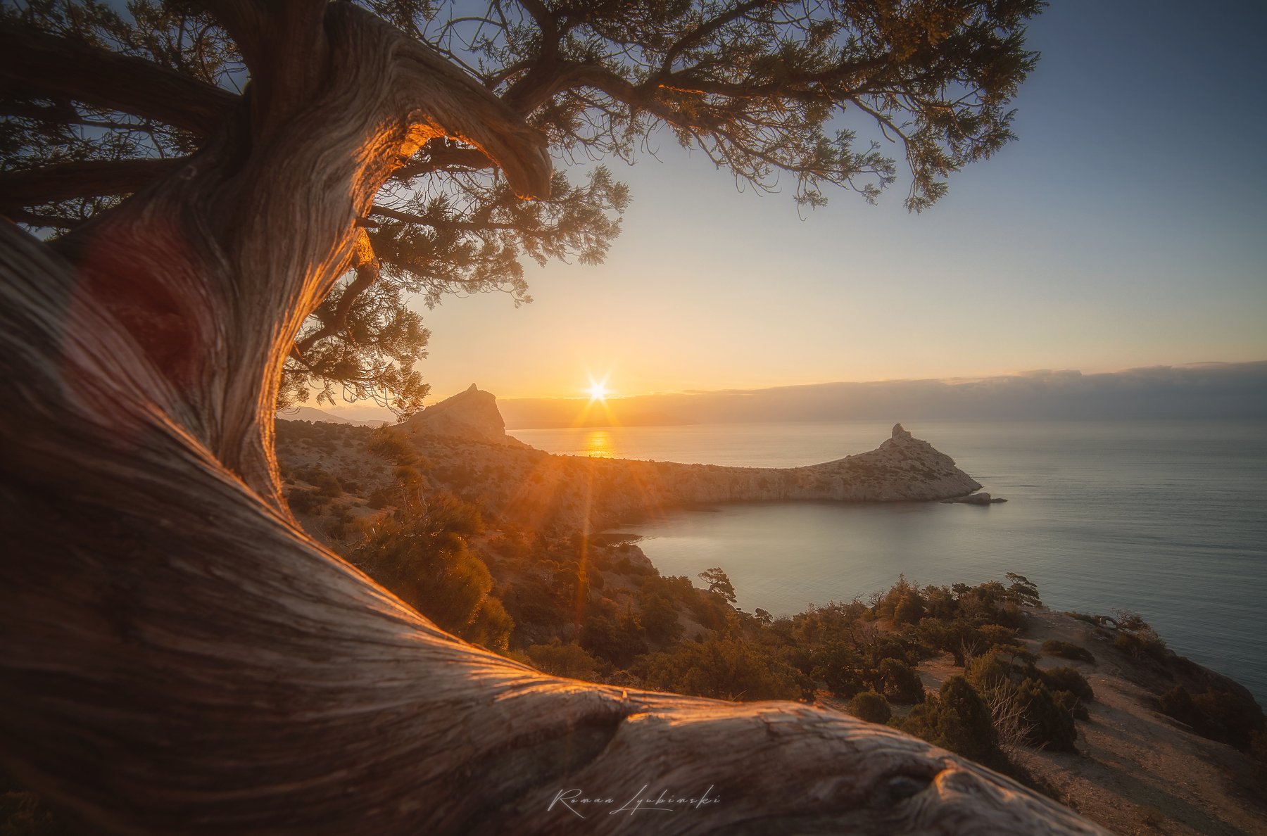 crimea, Роман Любимский