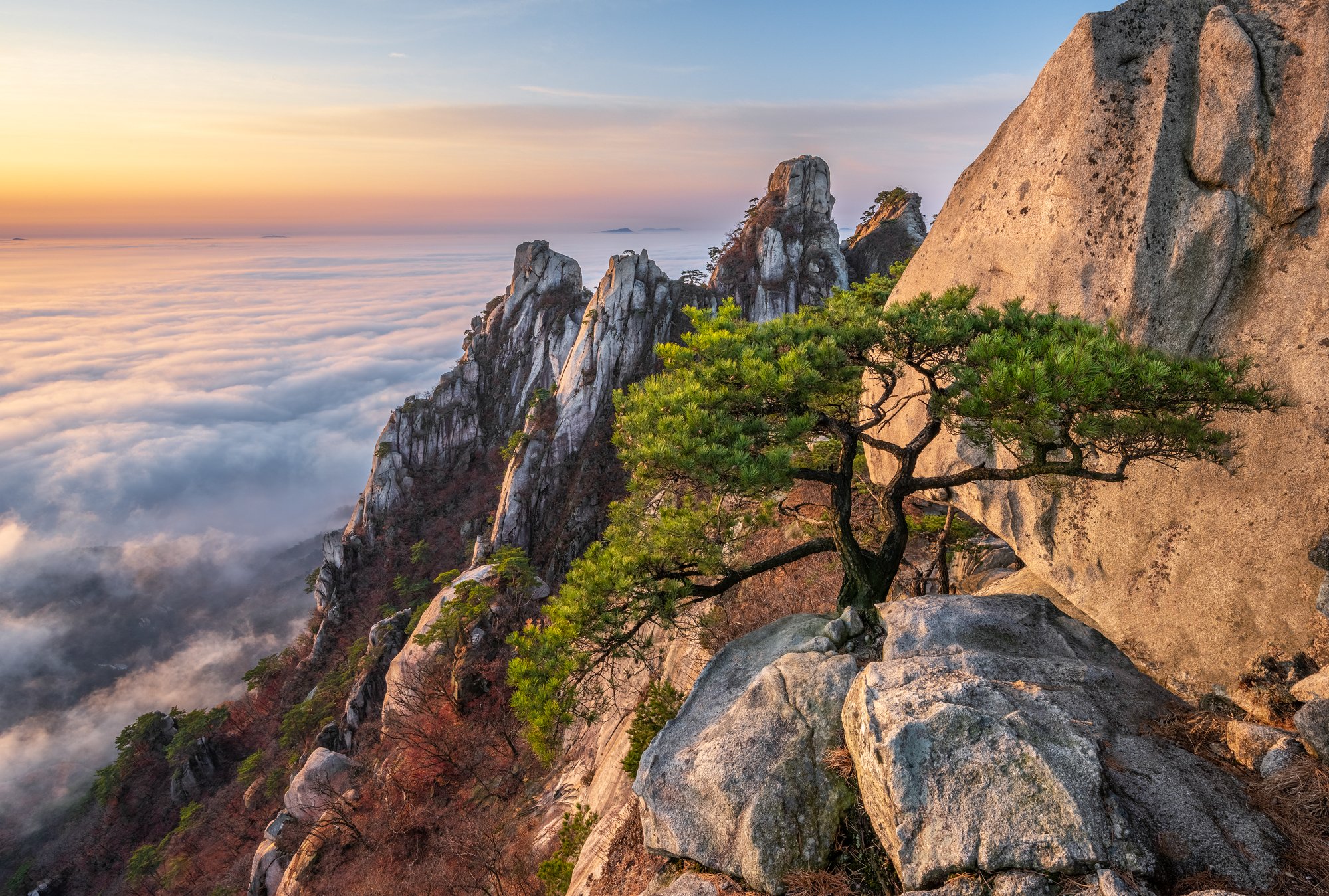 mountains,peak,hiking,fog,clouds,pine,autumn, Jaeyoun Ryu