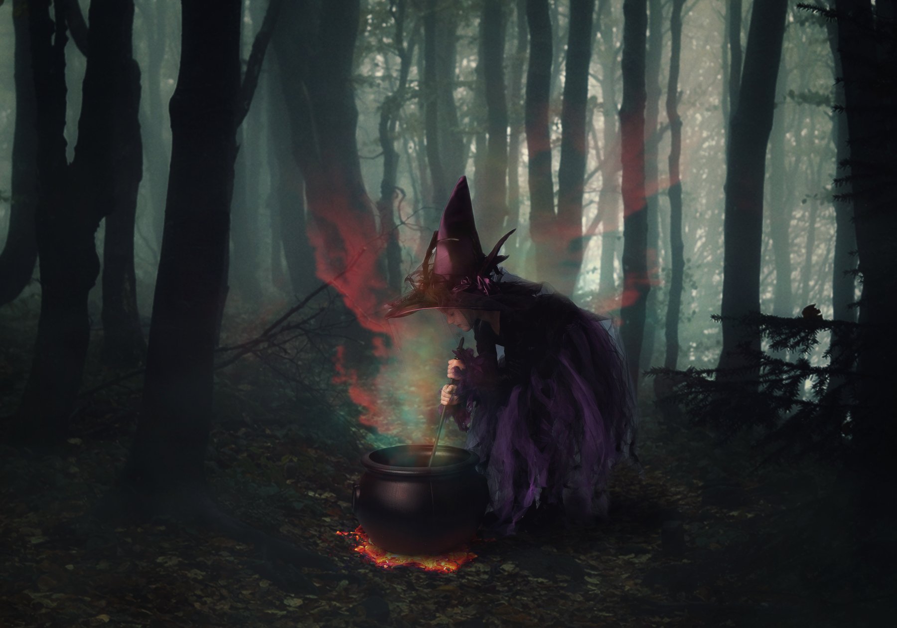 ведьмочка, котел, лес, туман, Sergii Vidov