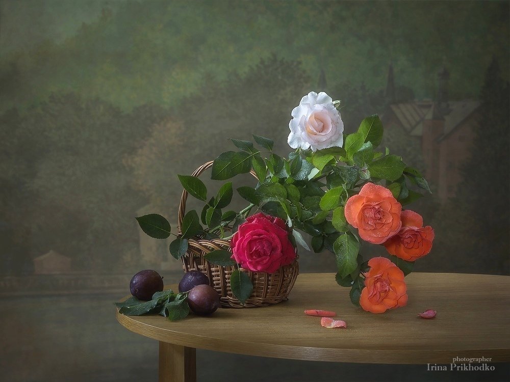 натюрморт, розы, лето, плоды, сливы, винтажный натюрморт, Ирина Приходько