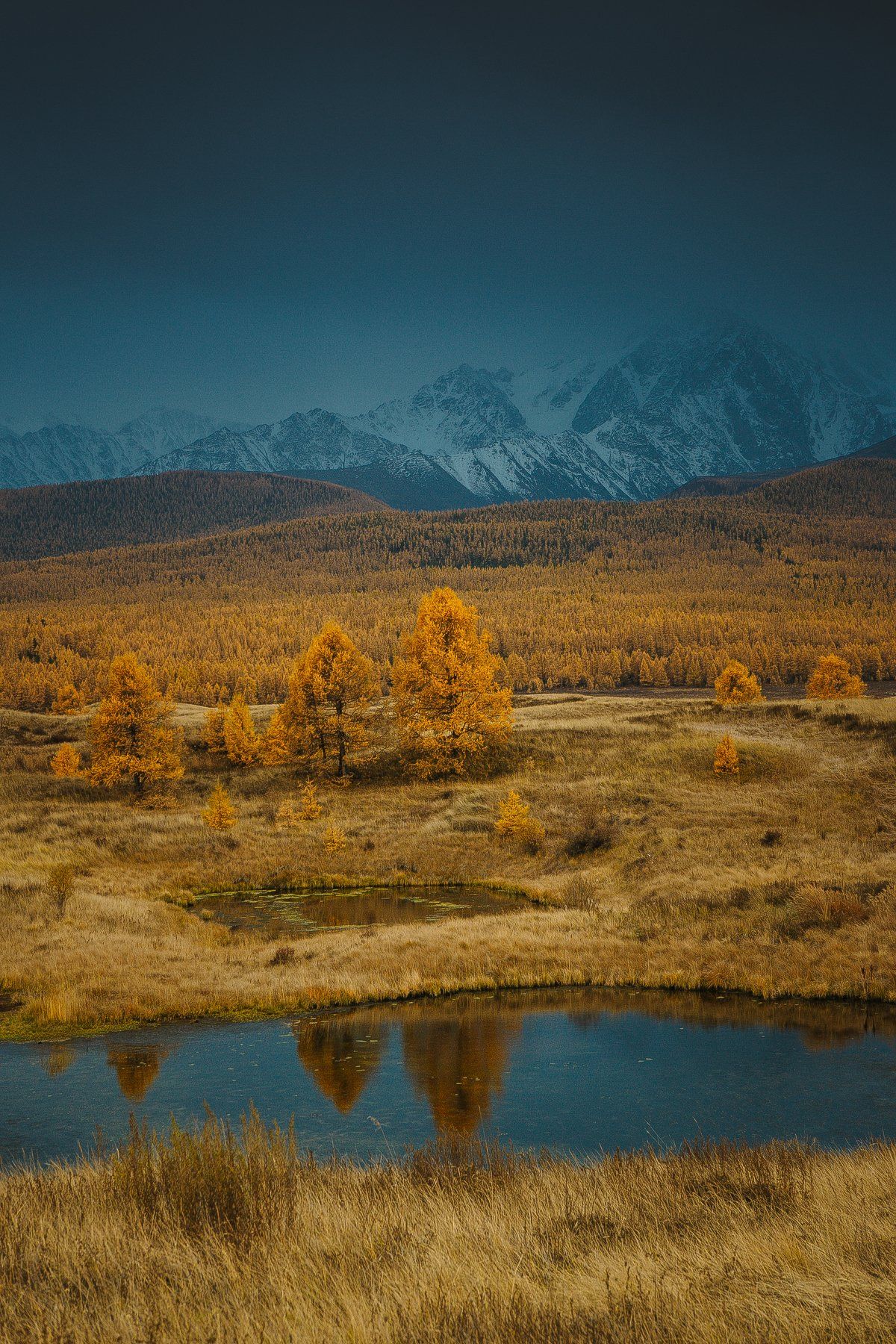 алтай, осень, золотая осень, горы, пейзаж, вечер, Алексей Новиков