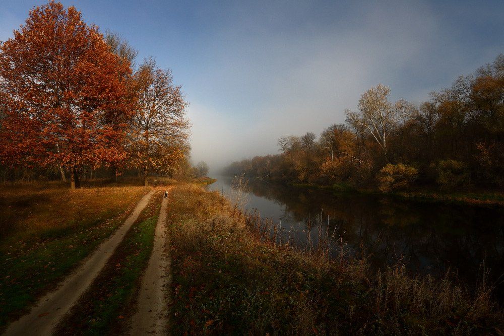 осень, утро, дорога, река, туман, Петриченко Валерий