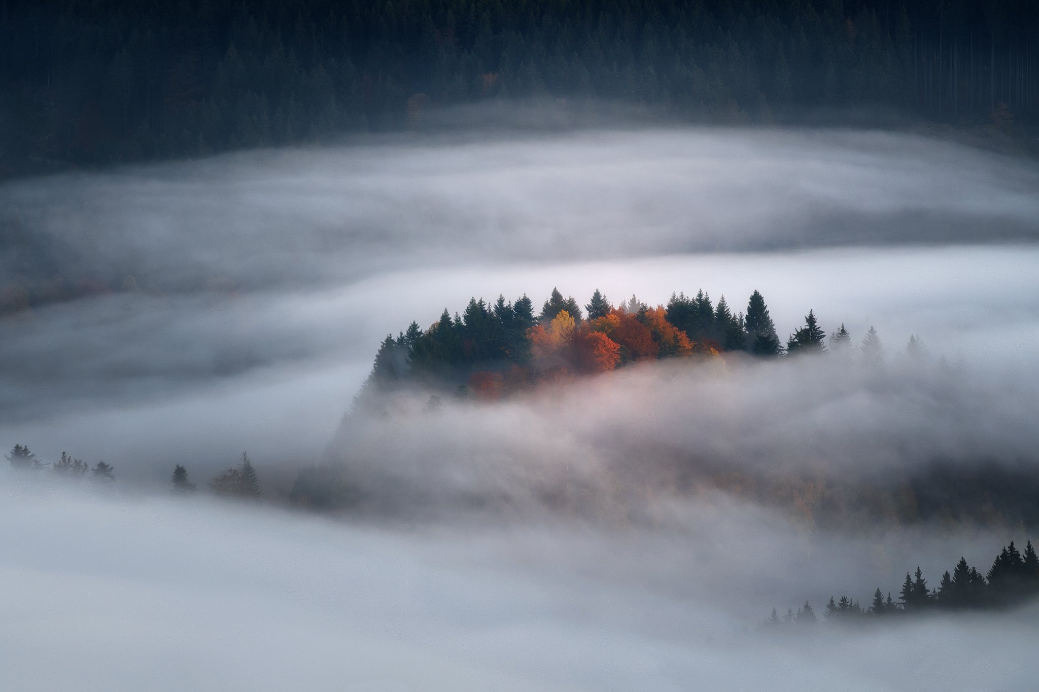 slovakia mood autumn forest island foggy landscape, Radoslav Cernicky
