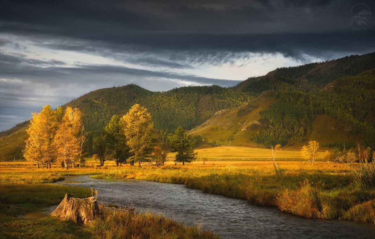 алтай, горы, пейзаж, осень, природа, солнце, река, утро, Анатолий Гордиенко