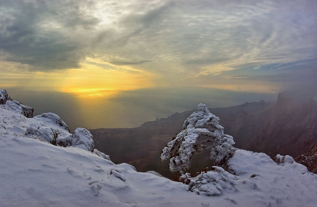 краешек зимы. краешек зимы. зимние мгновения жизни дорожите фото. подснежники среди зимы. надежда антонова маковик.