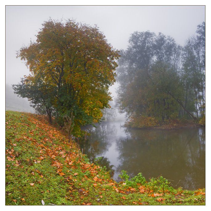 осень, река, серет, листья, Любомир Тригубишин